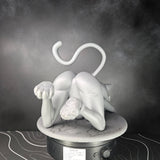Cat Peach Cute Cat - Garage Kit