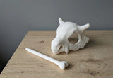 Cubone Skull and Bone Hair Pin 3D printed
