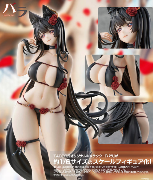 1/6 Rose Figure TACCO Illustration