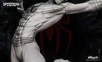 Wicked Spider man (Andrew Garfield)