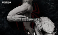 Wicked Spider man (Andrew Garfield)