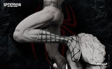 Wicked Spider man (Andrew Garfield)