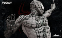 Wicked Spider man (Andrew Garfield)