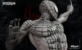 Wicked Spider man (Andrew Garfield)