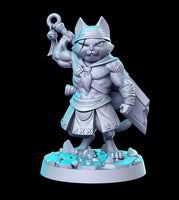 Morley (wandering cat-warrior) Monster Hunters 3D Printed Miniature