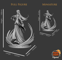 Princess Zelda Garage Kit -  Breath of the Wild